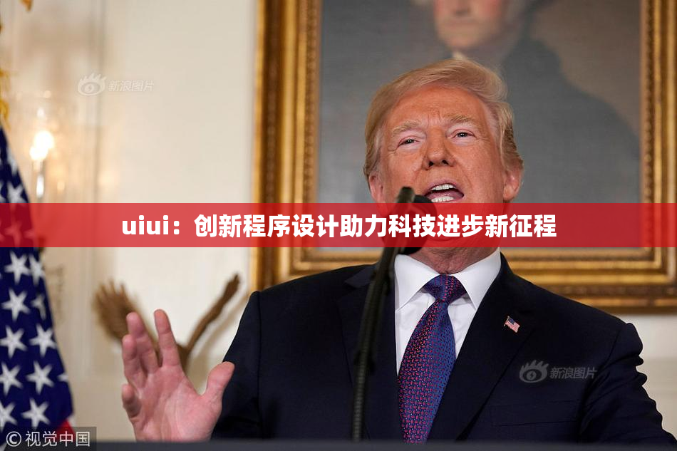 uiui：创新程序设计助力科技进步新征程