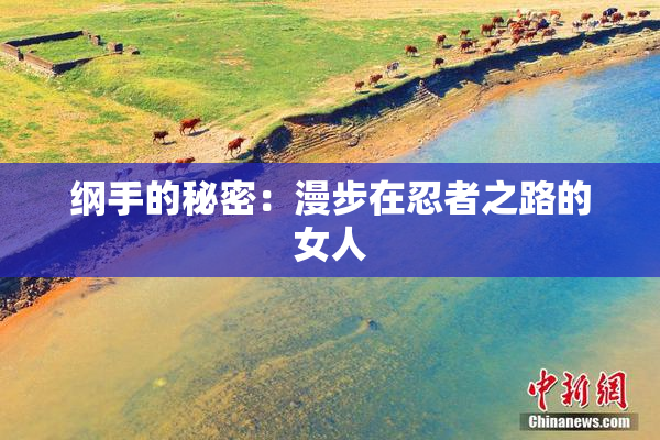 纲手的秘密：漫步在忍者之路的女人