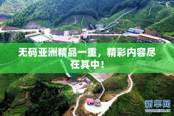无码亚洲精品一重，精彩内容尽在其中！