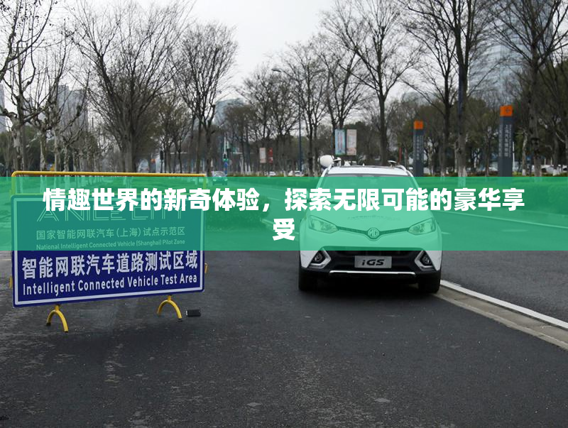 情趣世界的新奇体验，探索无限可能的豪华享受