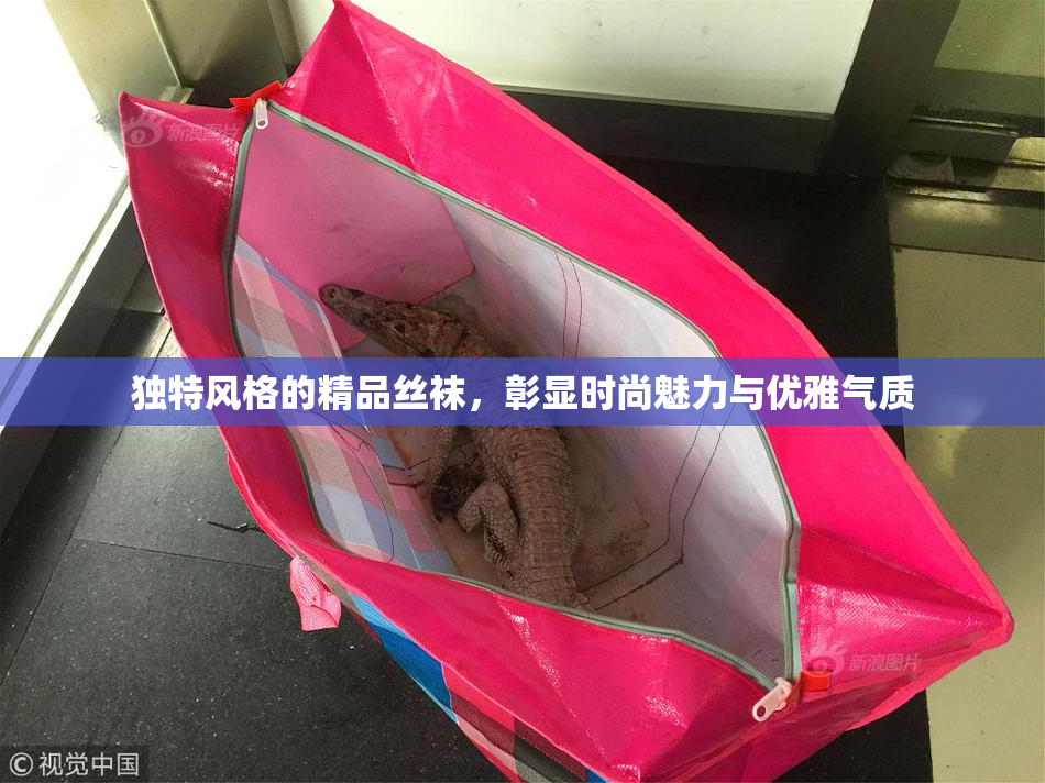 独特风格的精品丝袜，彰显时尚魅力与优雅气质