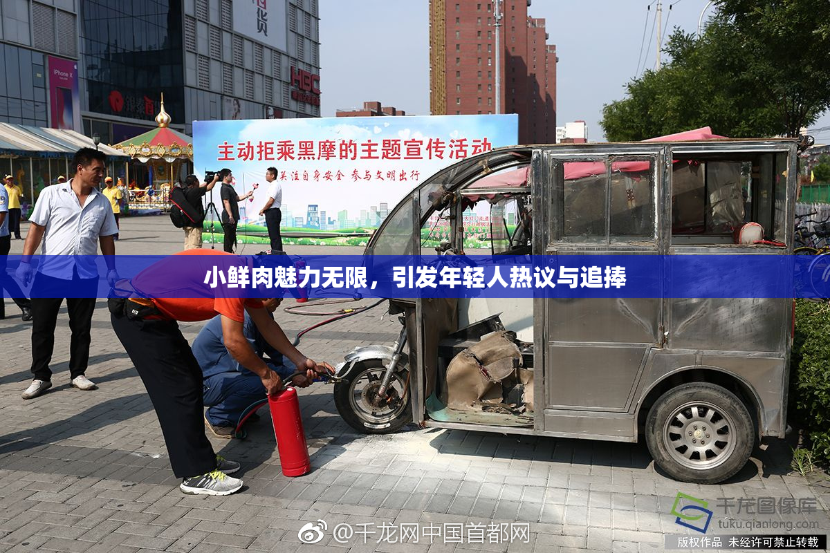 小鲜肉魅力无限，引发年轻人热议与追捧