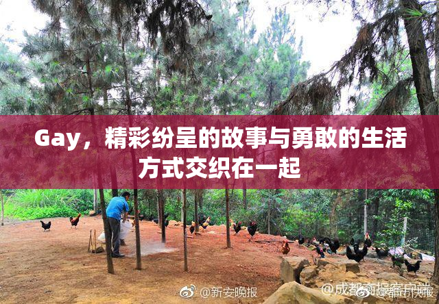 Gay，精彩纷呈的故事与勇敢的生活方式交织在一起