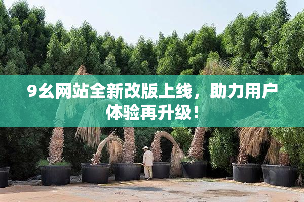 9幺网站全新改版上线，助力用户体验再升级！