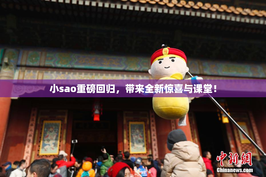 小sao重磅回归，带来全新惊喜与课堂！