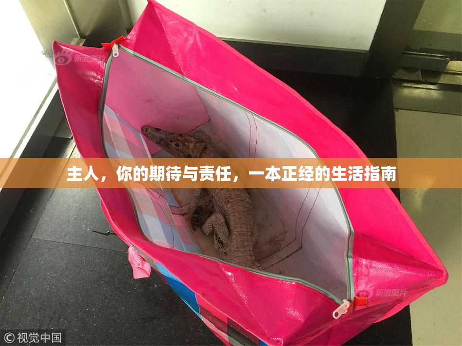 主人，你的期待与责任，一本正经的生活指南