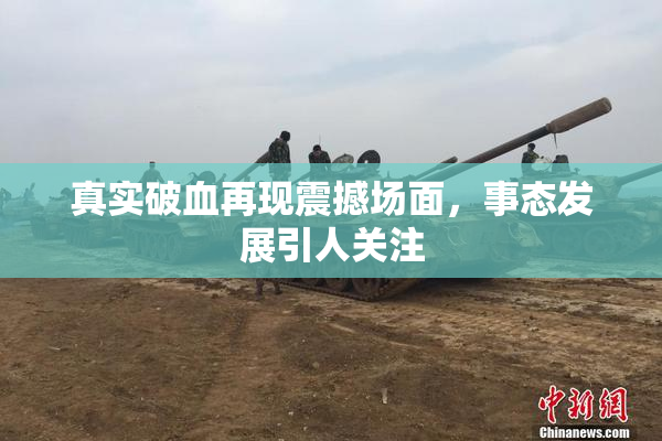 真实破血再现震撼场面，事态发展引人关注