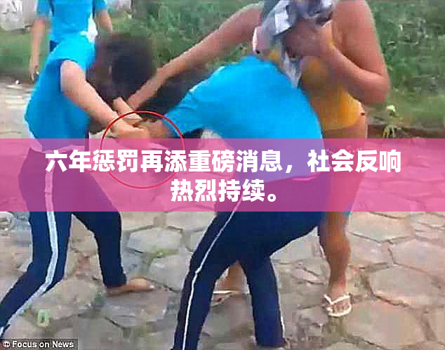 六年惩罚再添重磅消息，社会反响热烈持续。