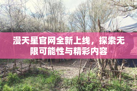 漫天星官网全新上线，探索无限可能性与精彩内容