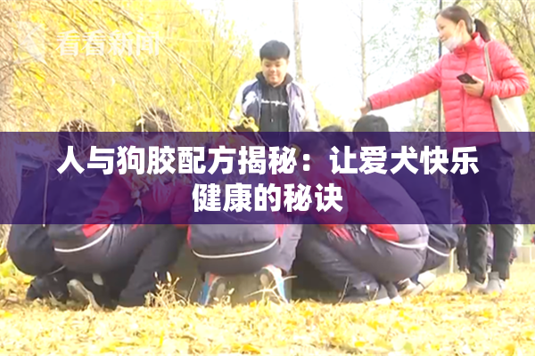 人与狗胶配方揭秘：让爱犬快乐健康的秘诀
