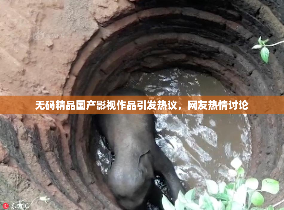 无码精品国产影视作品引发热议，网友热情讨论