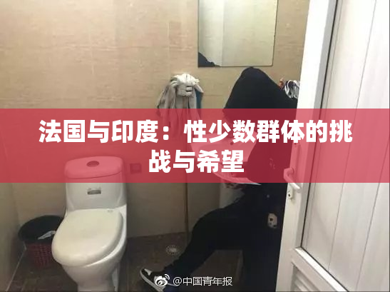 法国与印度：性少数群体的挑战与希望