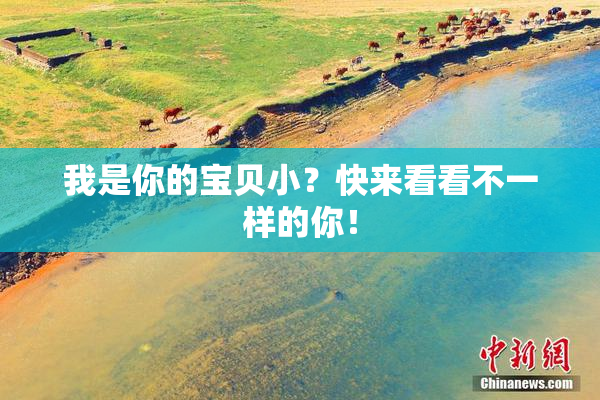 我是你的宝贝小？快来看看不一样的你！