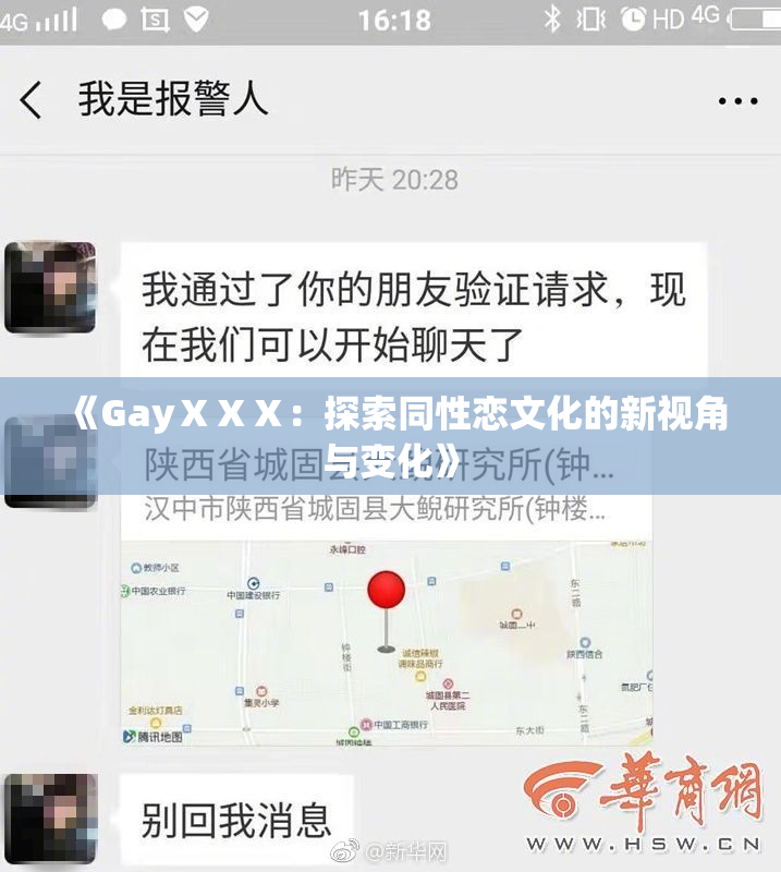 《GayⅩⅩⅩ：探索同性恋文化的新视角与变化》