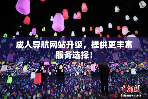 成人导航网站升级，提供更丰富服务选择！