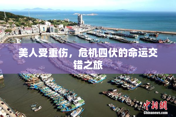 美人受重伤，危机四伏的命运交错之旅