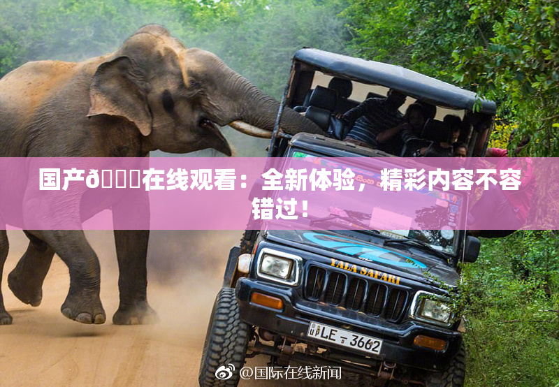 国产🔞在线观看：全新体验，精彩内容不容错过！