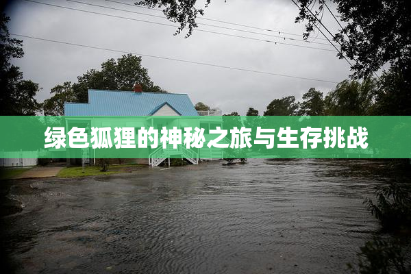 绿色狐狸的神秘之旅与生存挑战