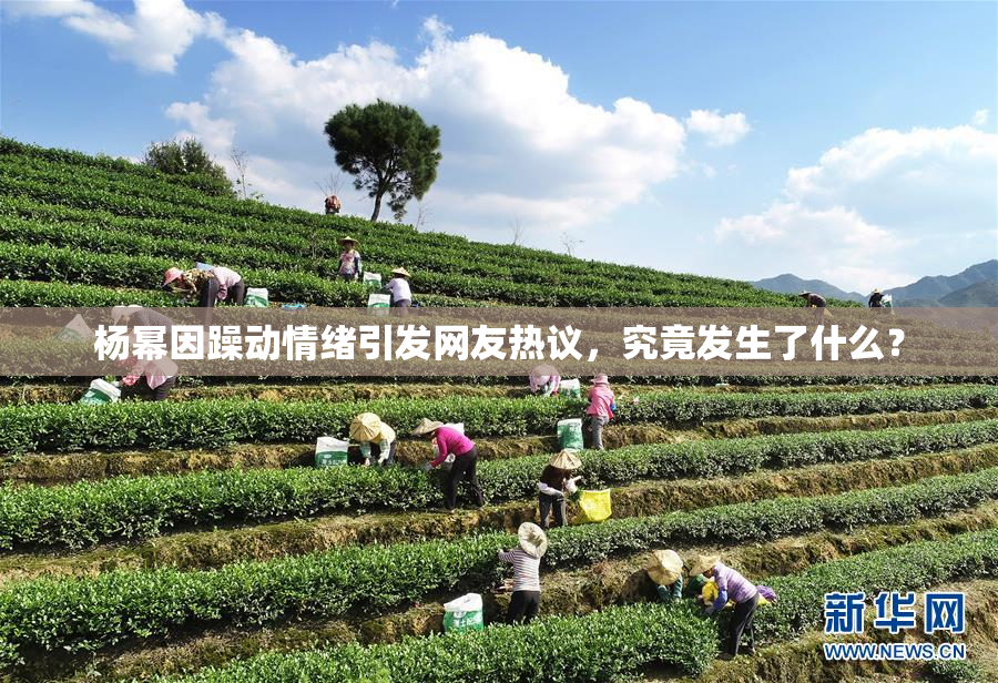 杨幂因躁动情绪引发网友热议，究竟发生了什么？