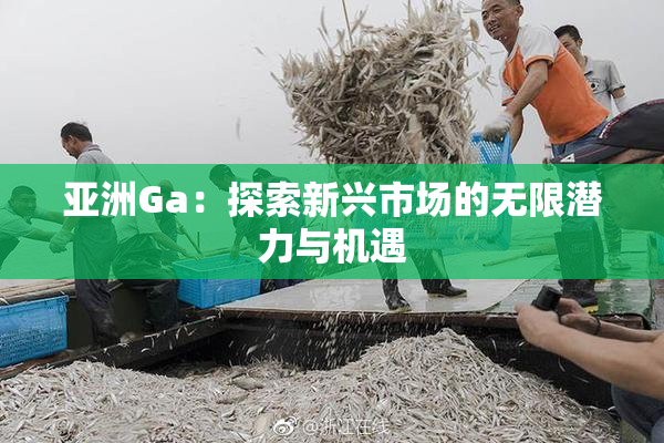 亚洲Ga：探索新兴市场的无限潜力与机遇