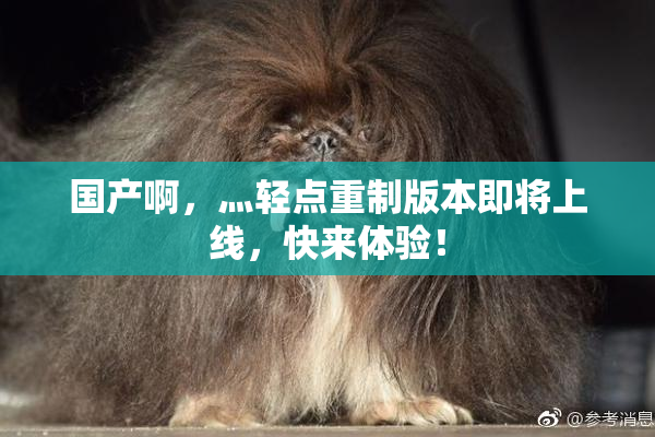 国产啊，灬轻点重制版本即将上线，快来体验！