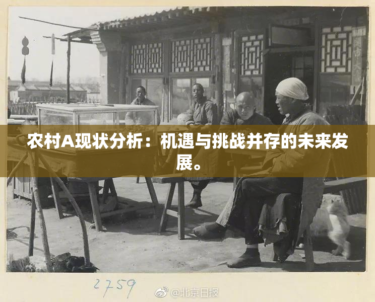 农村A现状分析：机遇与挑战并存的未来发展。