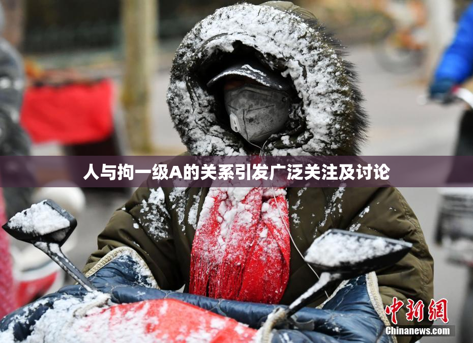 人与拘一级A的关系引发广泛关注及讨论