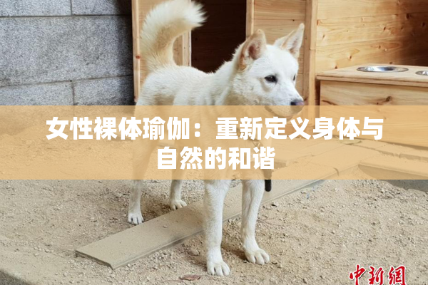 女性裸体瑜伽：重新定义身体与自然的和谐