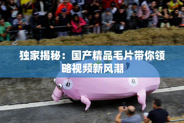 独家揭秘：国产精品毛片带你领略视频新风潮