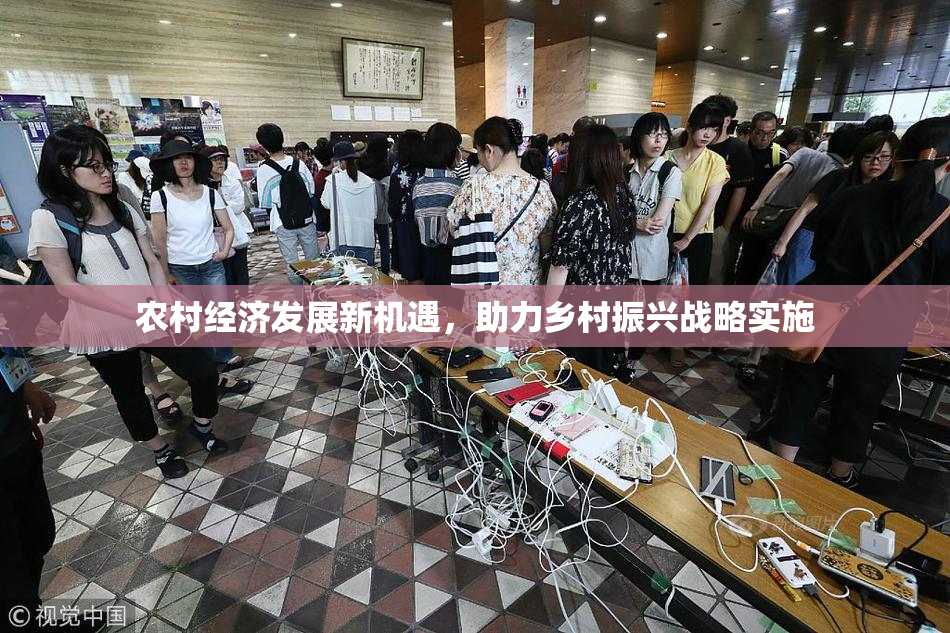 农村经济发展新机遇，助力乡村振兴战略实施
