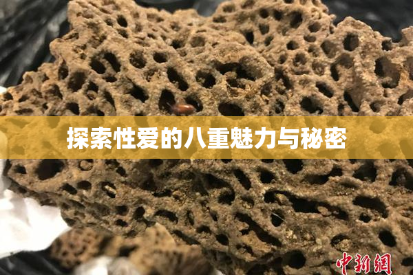 探索性爱的八重魅力与秘密