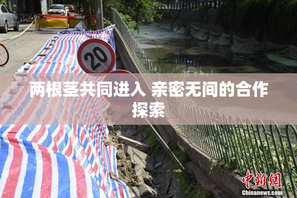 两根茎共同进入 亲密无间的合作探索