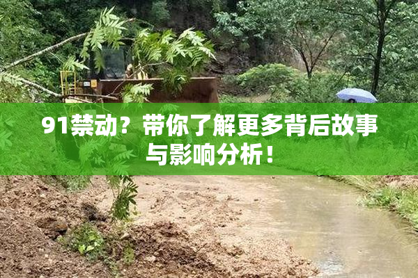 91禁动？带你了解更多背后故事与影响分析！