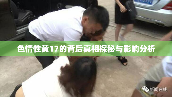 色情性黄17的背后真相探秘与影响分析