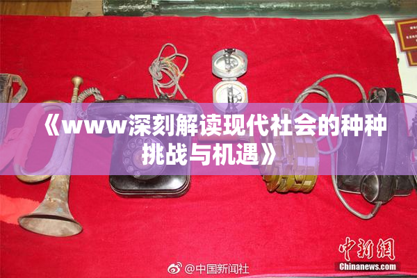 《www深刻解读现代社会的种种挑战与机遇》