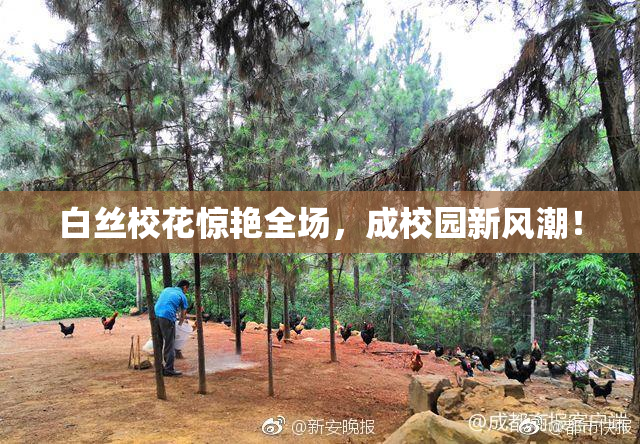 白丝校花惊艳全场，成校园新风潮！