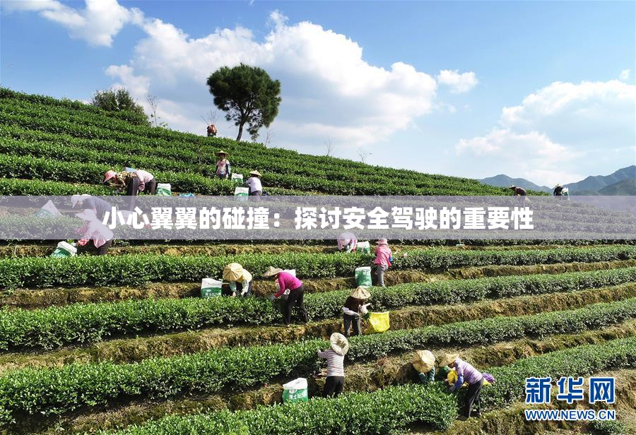 小心翼翼的碰撞：探讨安全驾驶的重要性