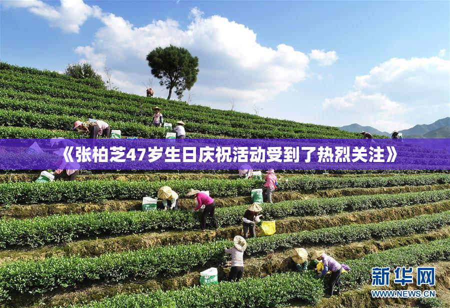 《张柏芝47岁生日庆祝活动受到了热烈关注》