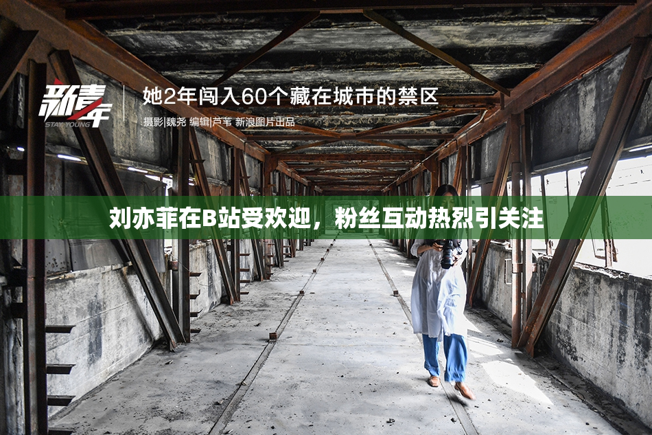 刘亦菲在B站受欢迎，粉丝互动热烈引关注
