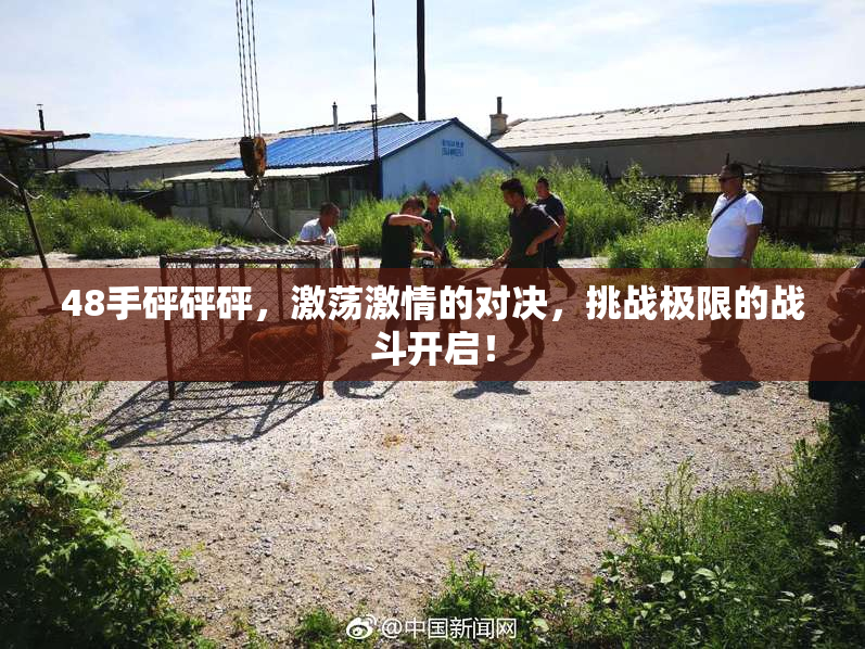 48手砰砰砰，激荡激情的对决，挑战极限的战斗开启！