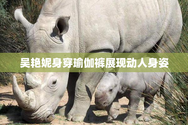 吴艳妮身穿瑜伽裤展现动人身姿