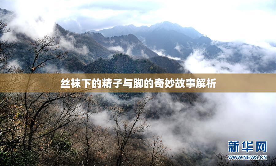 丝袜下的精子与脚的奇妙故事解析