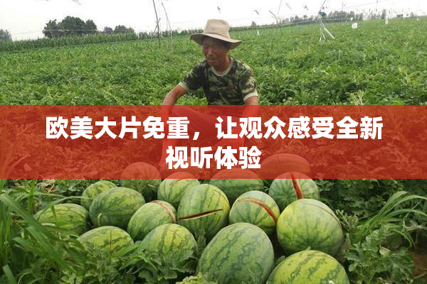 欧美大片免重，让观众感受全新视听体验