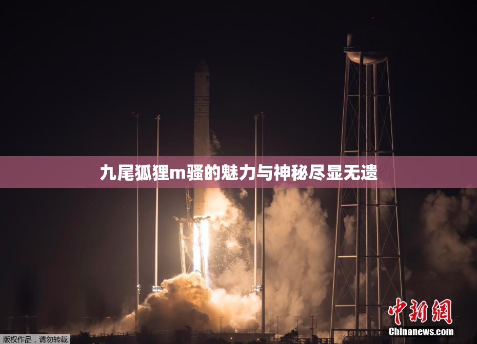 九尾狐狸m骚的魅力与神秘尽显无遗