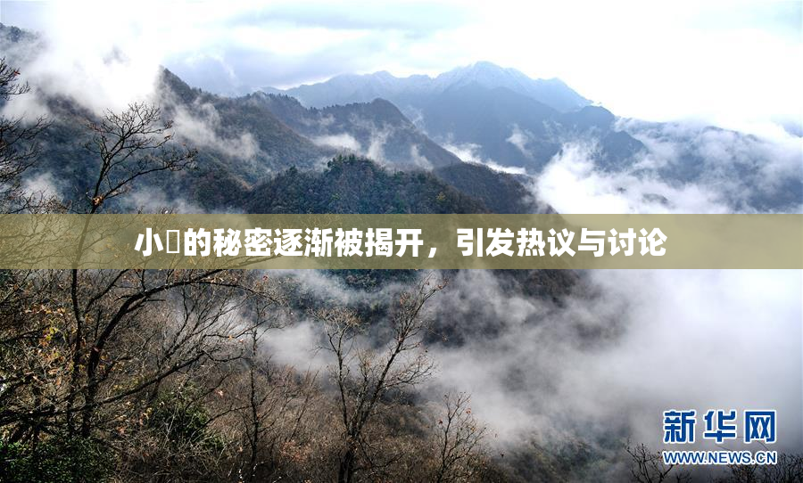 小泬的秘密逐渐被揭开，引发热议与讨论