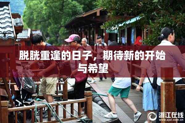 脱胱重逢的日子，期待新的开始与希望