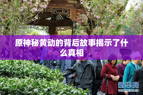 原神秘黄动的背后故事揭示了什么真相