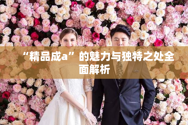 “精品成a”的魅力与独特之处全面解析