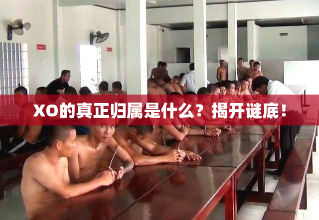 XO的真正归属是什么？揭开谜底！