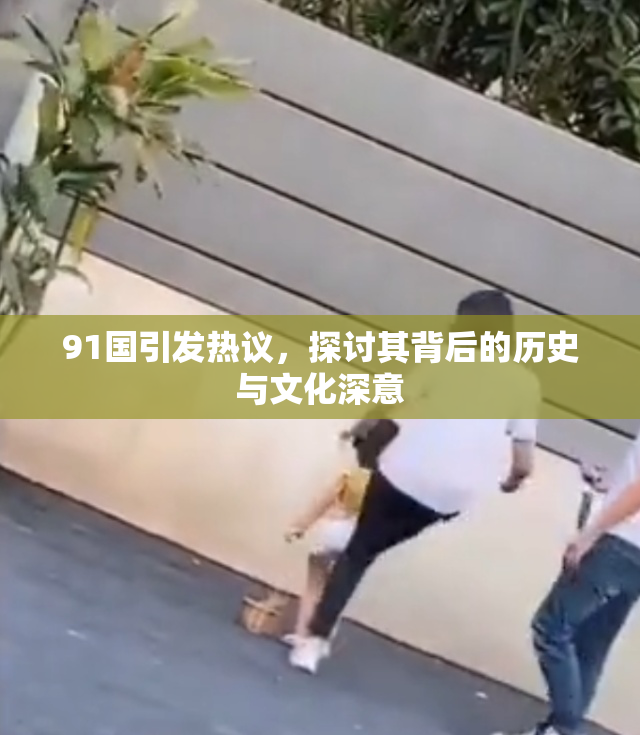 91国引发热议，探讨其背后的历史与文化深意